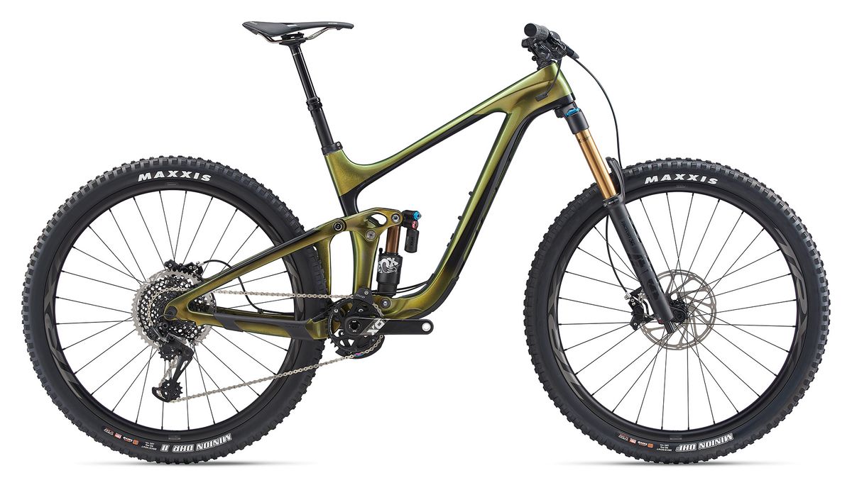 Giant Reign 29 | BikePerfect