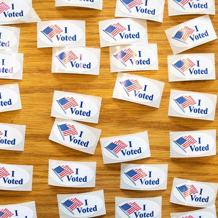 vote