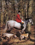 huntnewforestbdmain.jpg