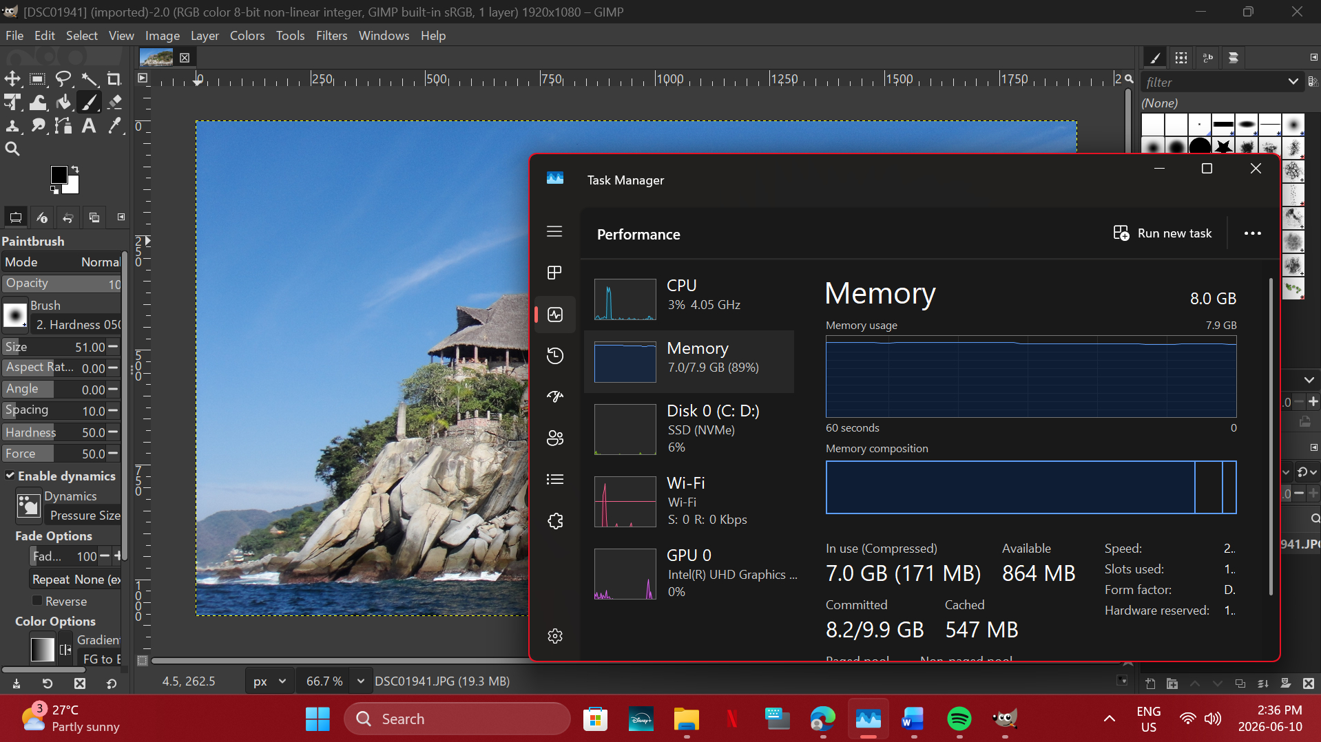 Computer desktop with photo editing software and Task Manager open, showing a landscape image and system performance metrics.