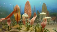 A diorama of leaf-like and jellyfish-like organisms on the seafloor.