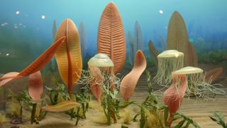 A diorama of leaf-like and jellyfish-like organisms on the seafloor.