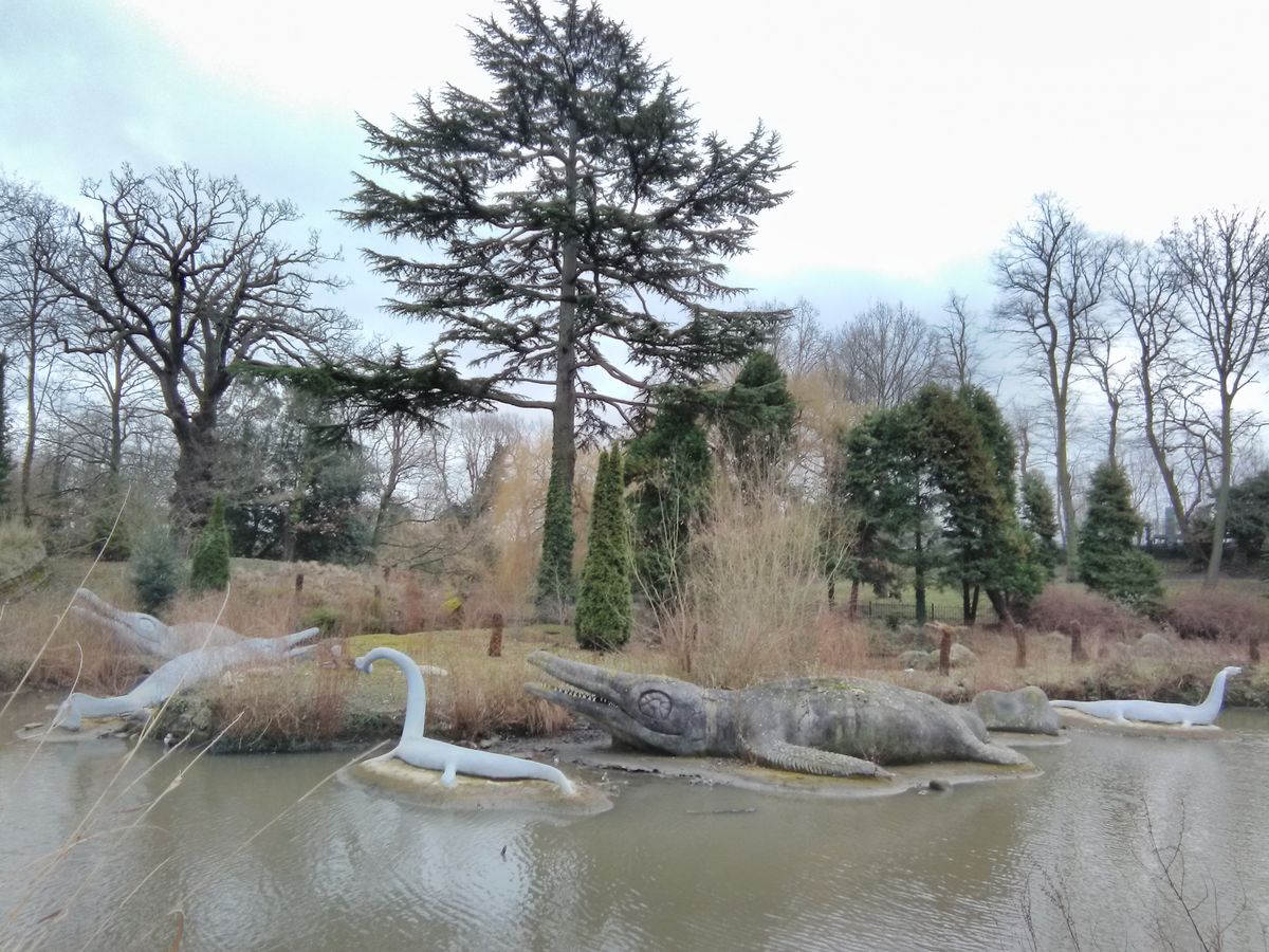 Even with Auto HDR engaged the HDR seems to swivel between photos that look dim and brighter ones that have very overexposed elements like this.