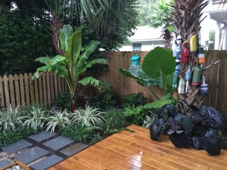 tropical garden ideas using plants to add height to a small garden with decking