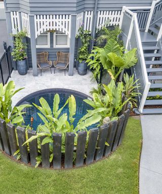 plunge pool surrounded by plants
