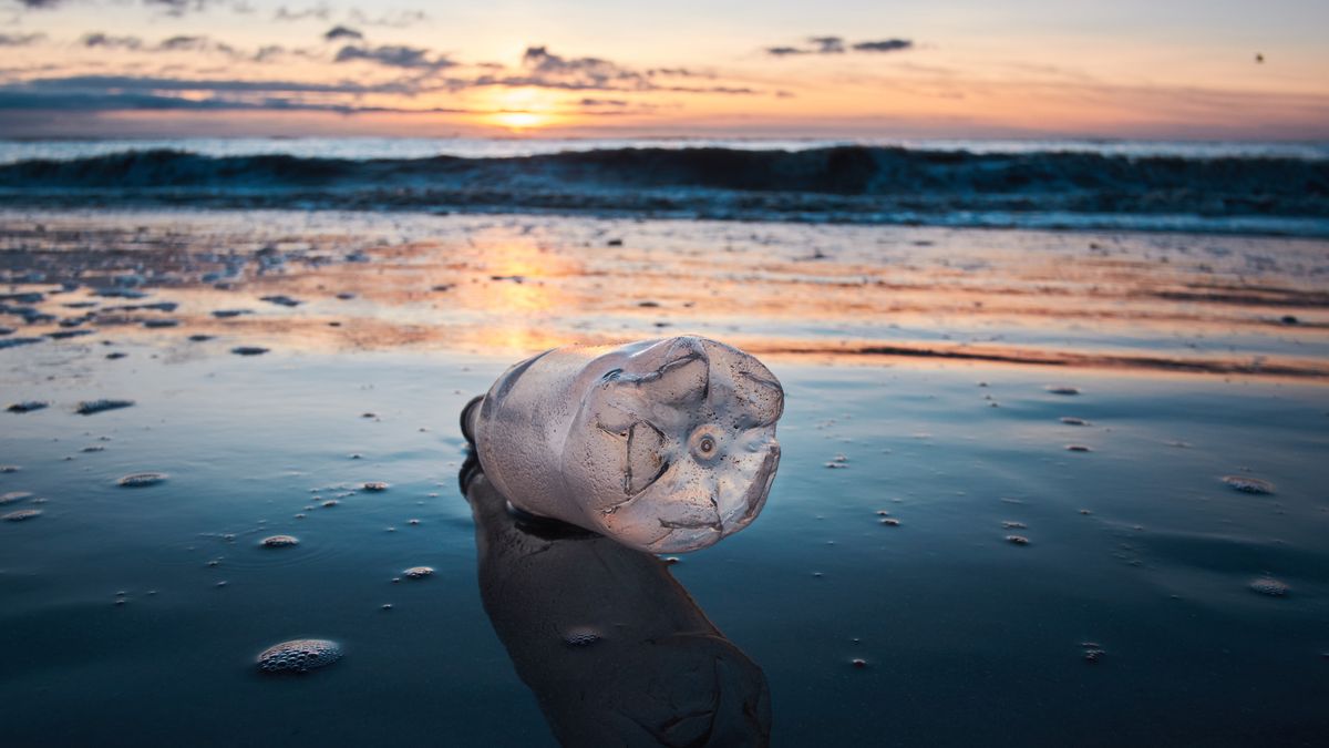 Plastic bottle washed up on sandy beach.