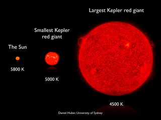 Sizes of red giant stars compared to the Sun. Using the Kepler telescope, we have detected oscillations in hundreds of red giant stars. The periods of those oscillations allowed us to study the interiors of these giant stars, which represent the future li