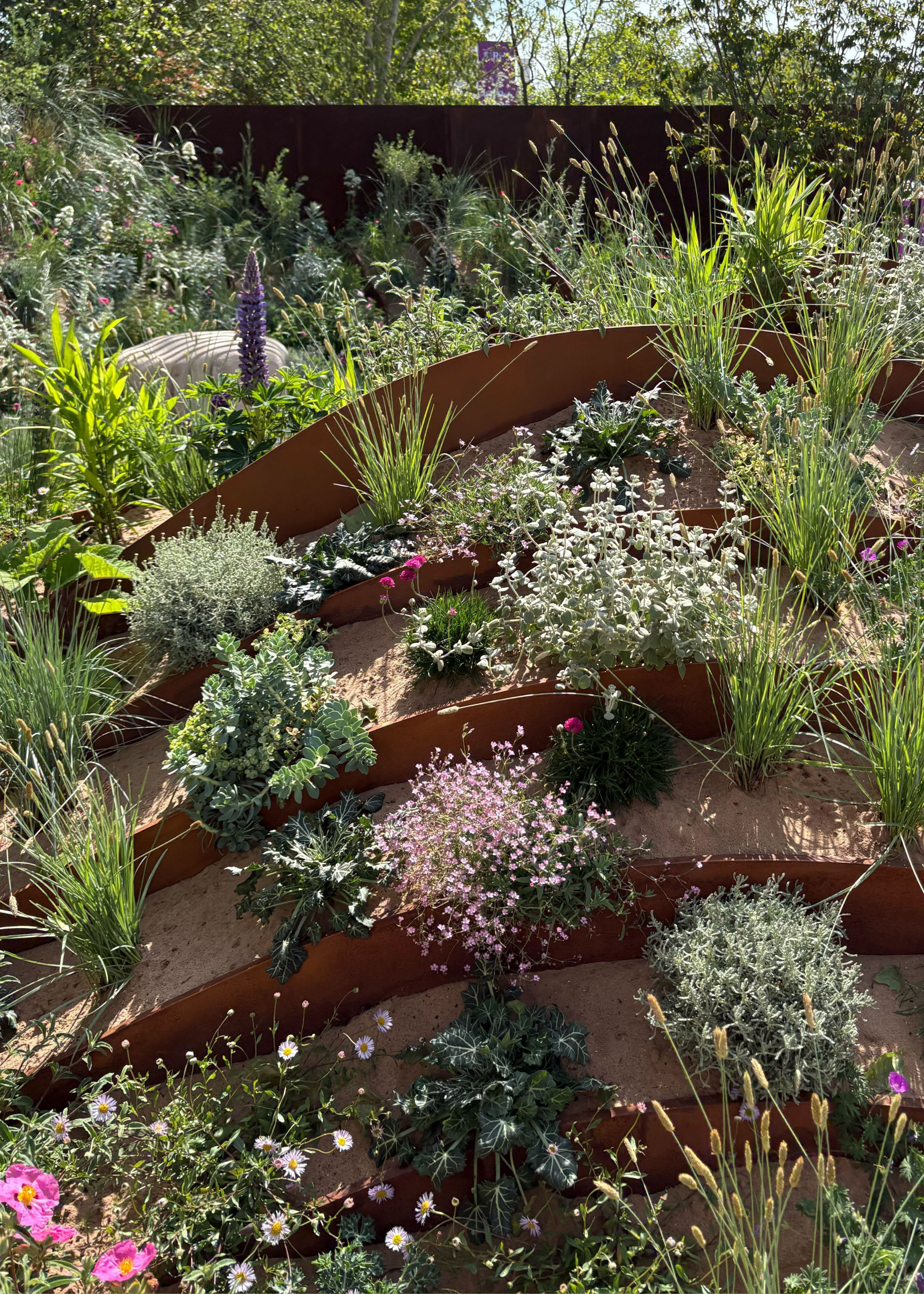 A plant exhibit at the Chelsea Flower Show 2025