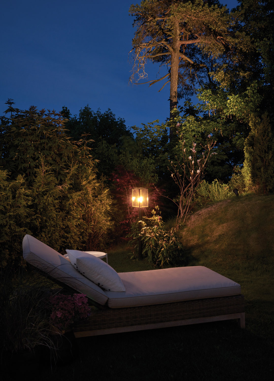 garden with layered lighting