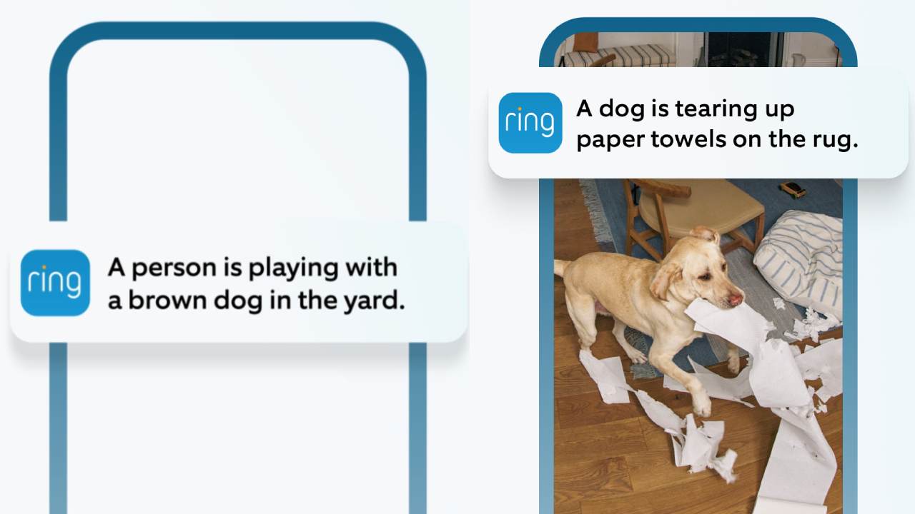 Ring AI Single Event Alert