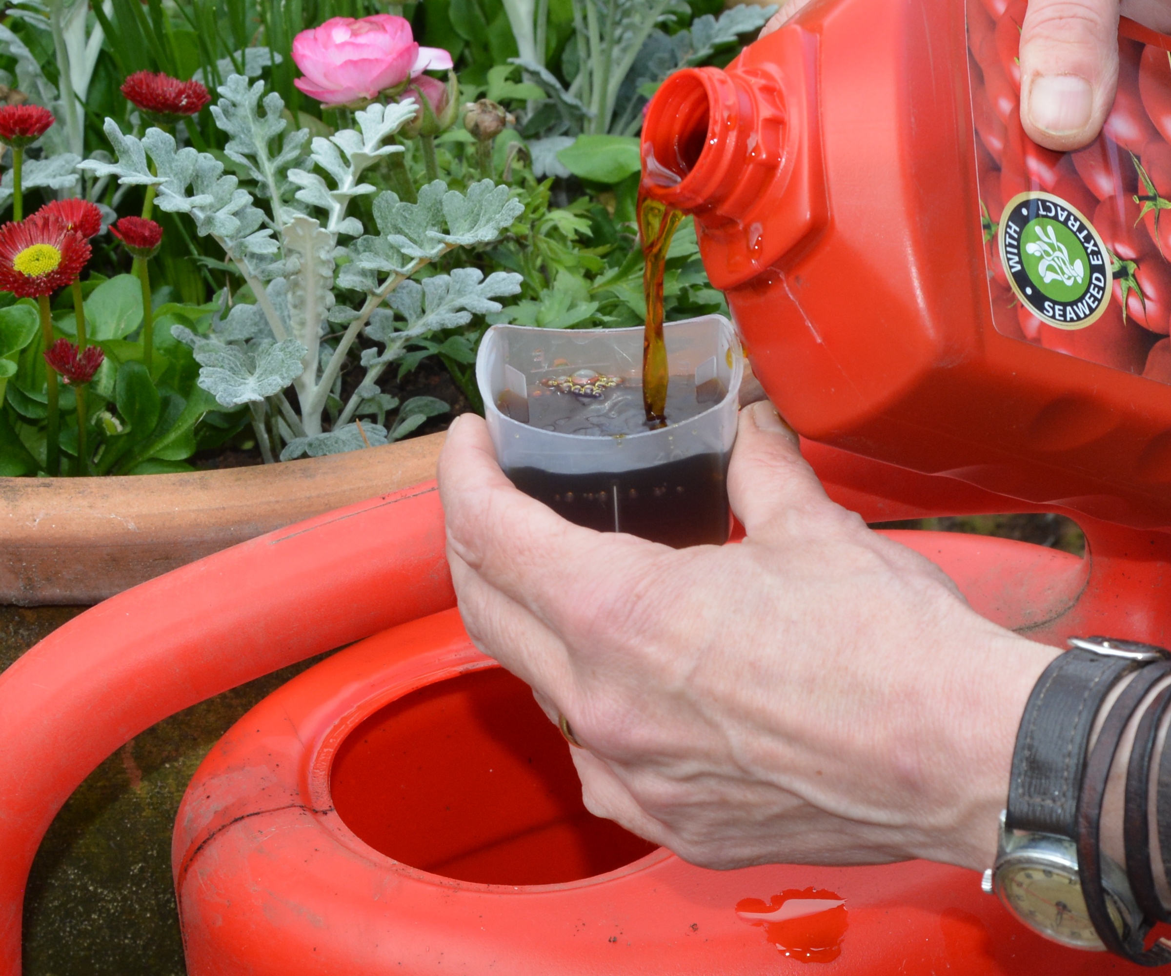 Measuring liquid tomato fertilizer