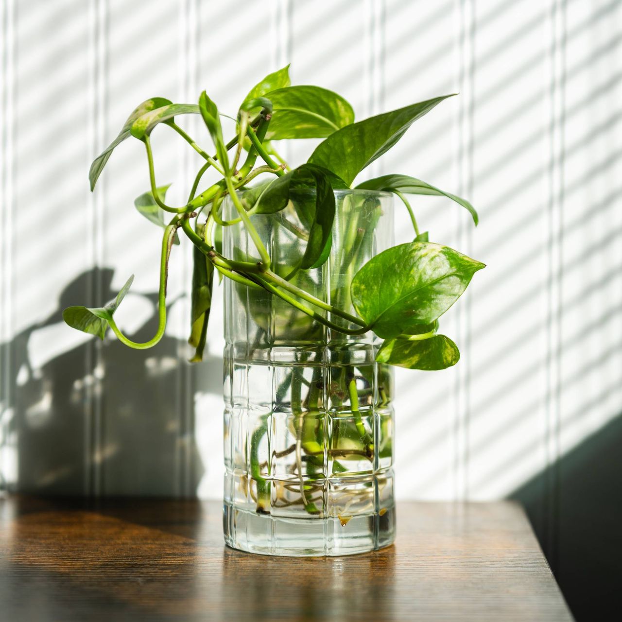 Propagation of cutting in water