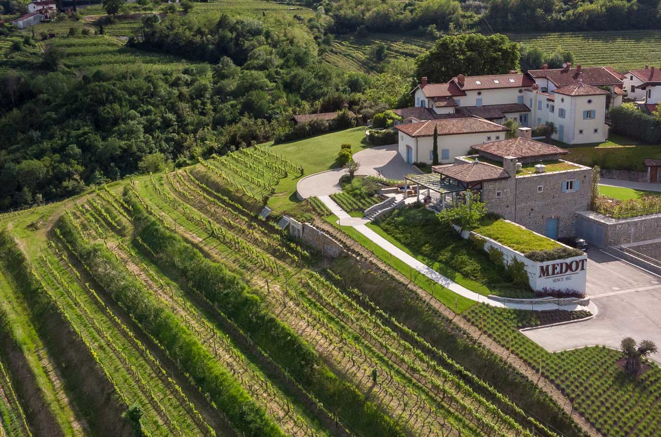 Medot winery, Slovenia