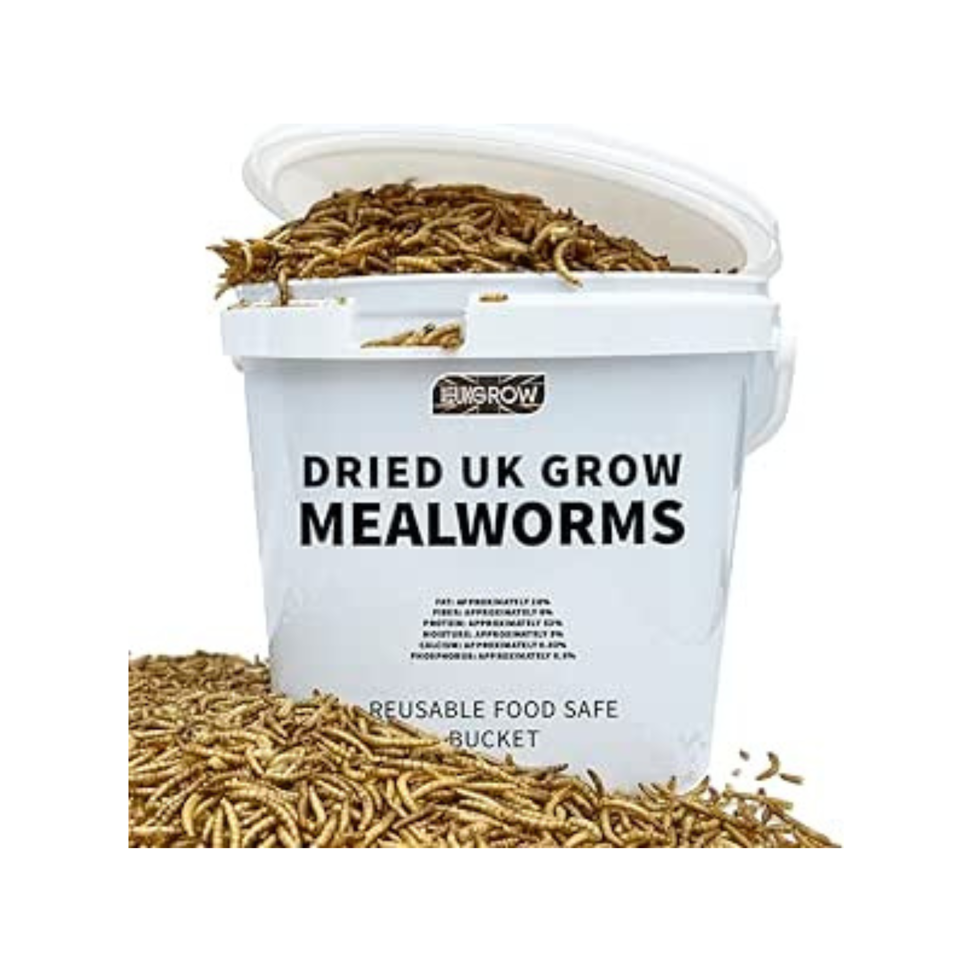 Premium Dried Mealworms