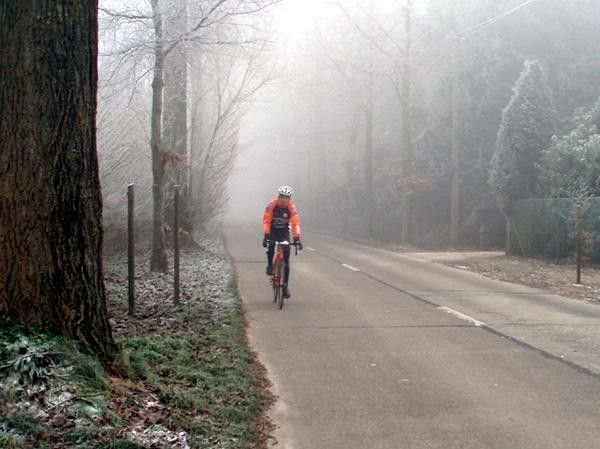 The fog