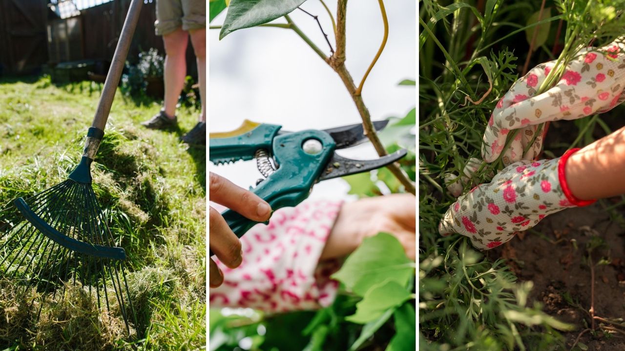 composite of someone raking, pruning and weeding