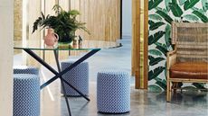 How to fertilize houseplants