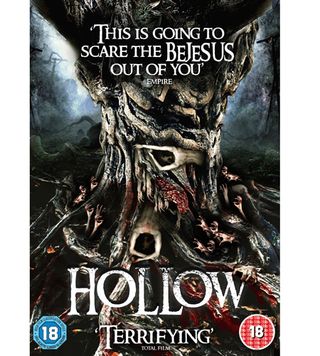 Hollow DVD cover