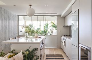 an apartment filled with plants