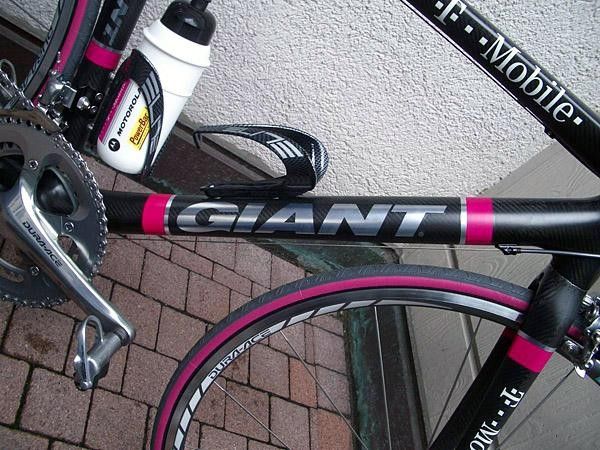 Nice Giant graphics on this year steeds