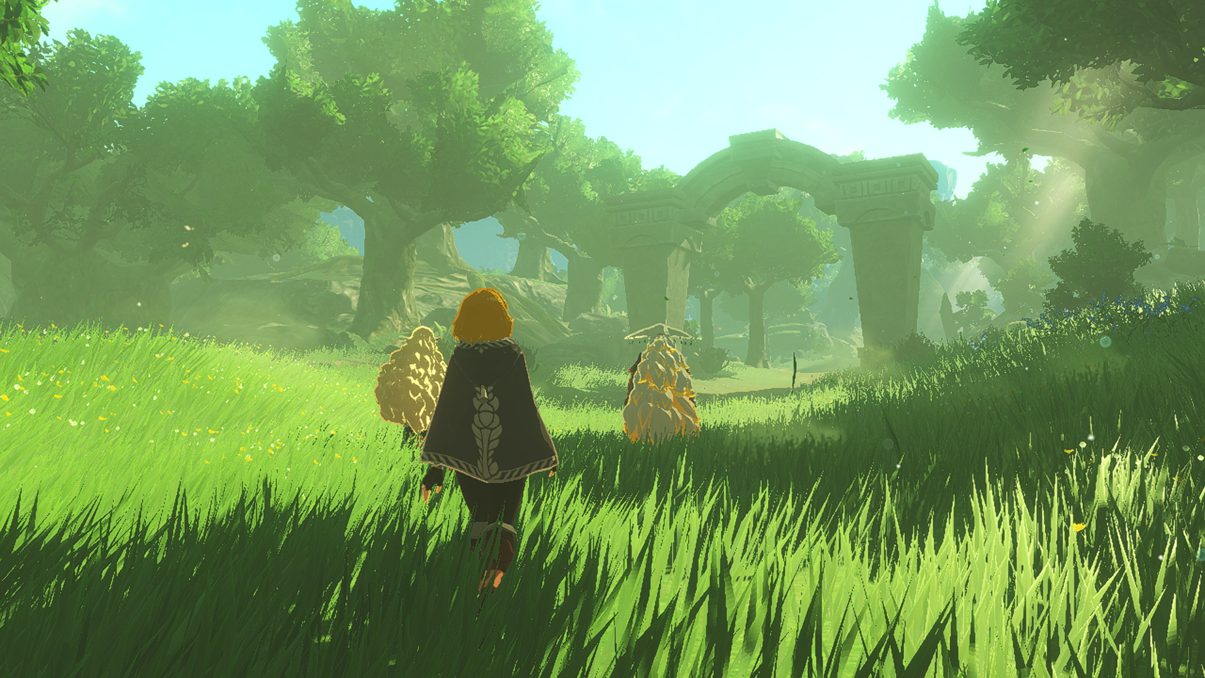 Hyrule Warriors: Age of Imprisonment screenshot showing Zelda walking through a colorful field
