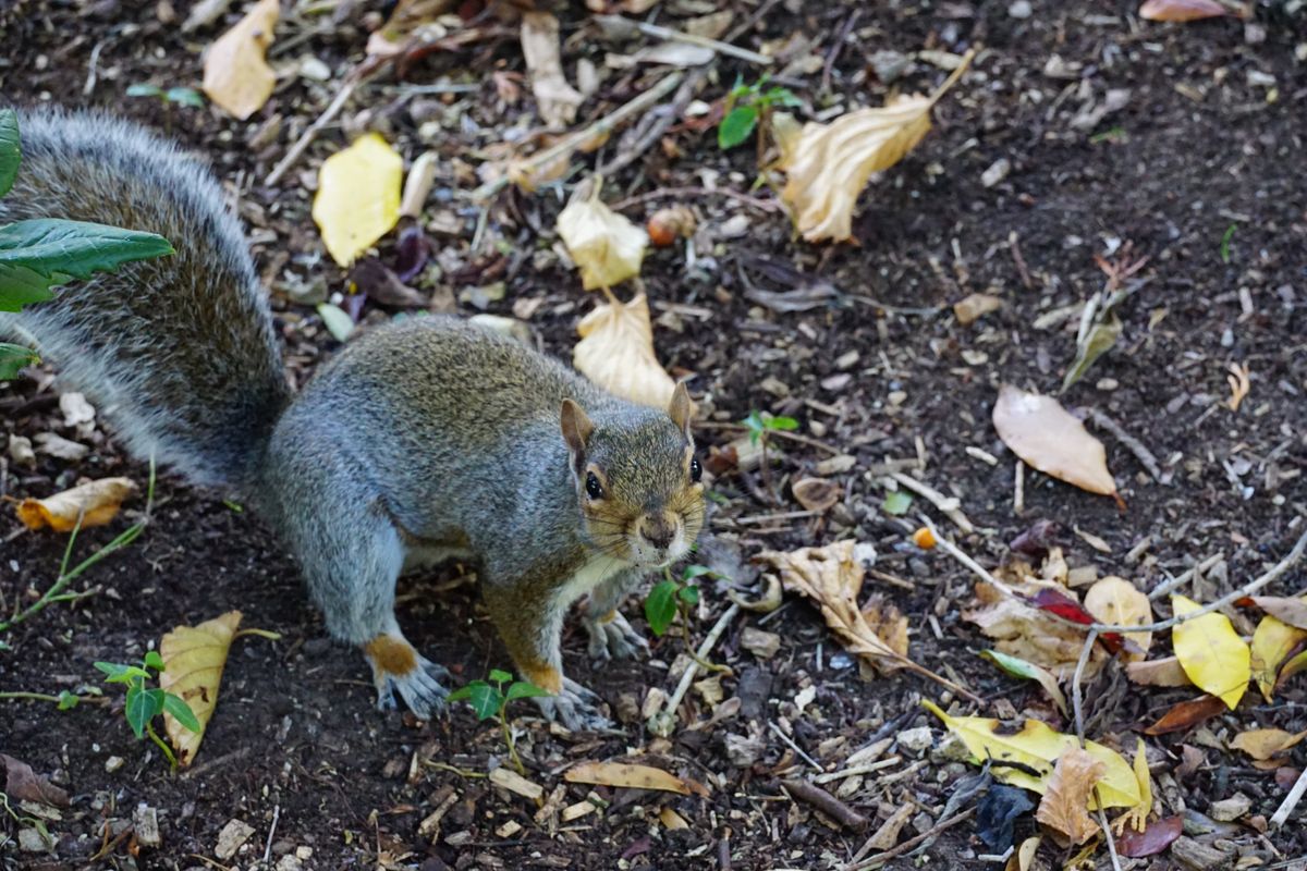 Sigma 50-120mm f/2.8 DC OS | C sample image