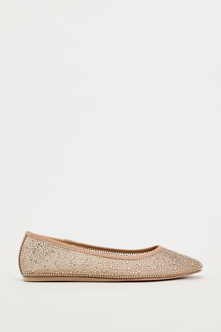 Shiny Mesh Ballet Flats