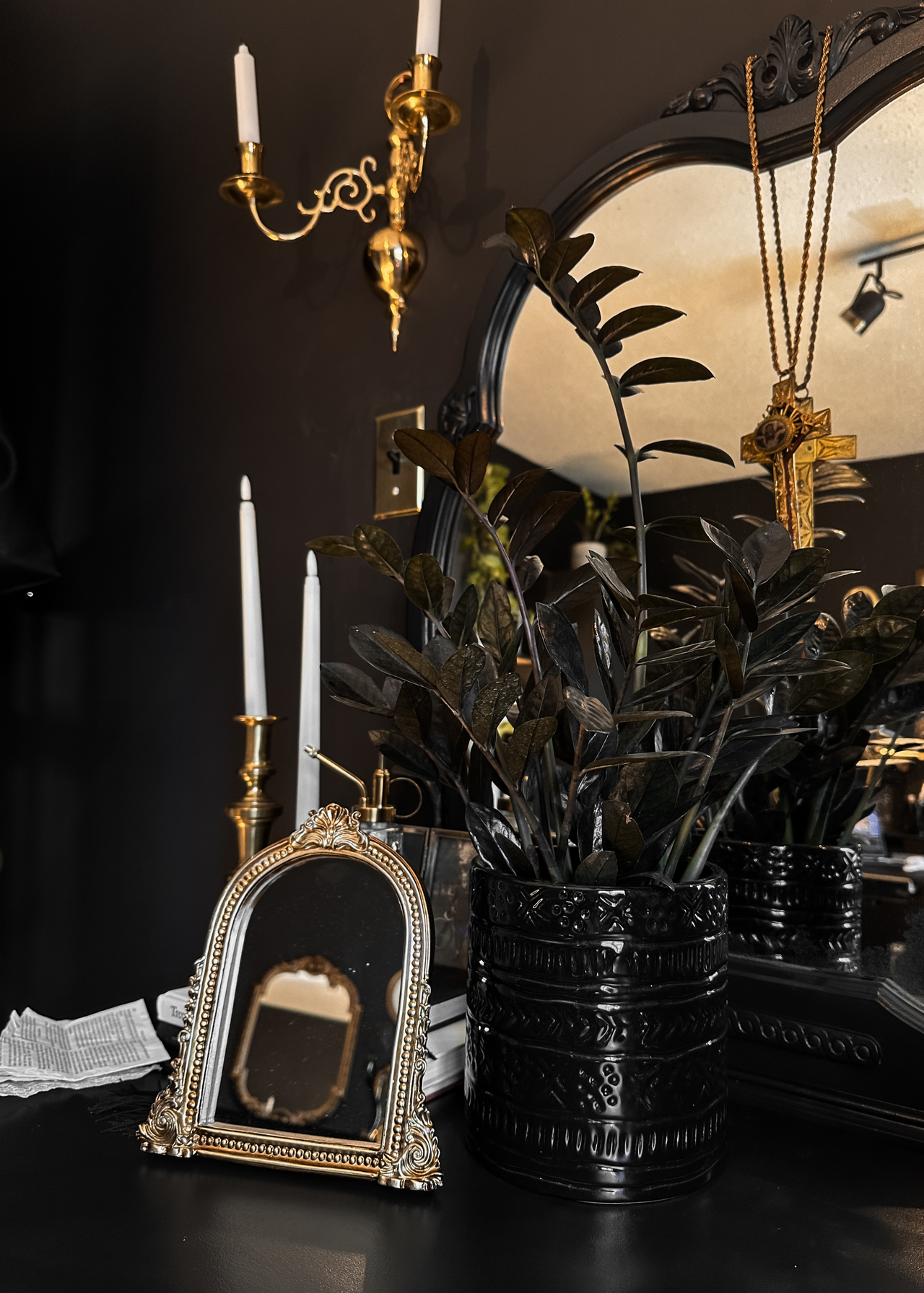 A potted gothic houseplant in front of a mirror and beside candles