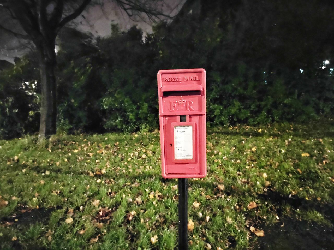 Moto G9 Plus camera sample