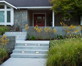 A modern front yard with concrete steps and grasses