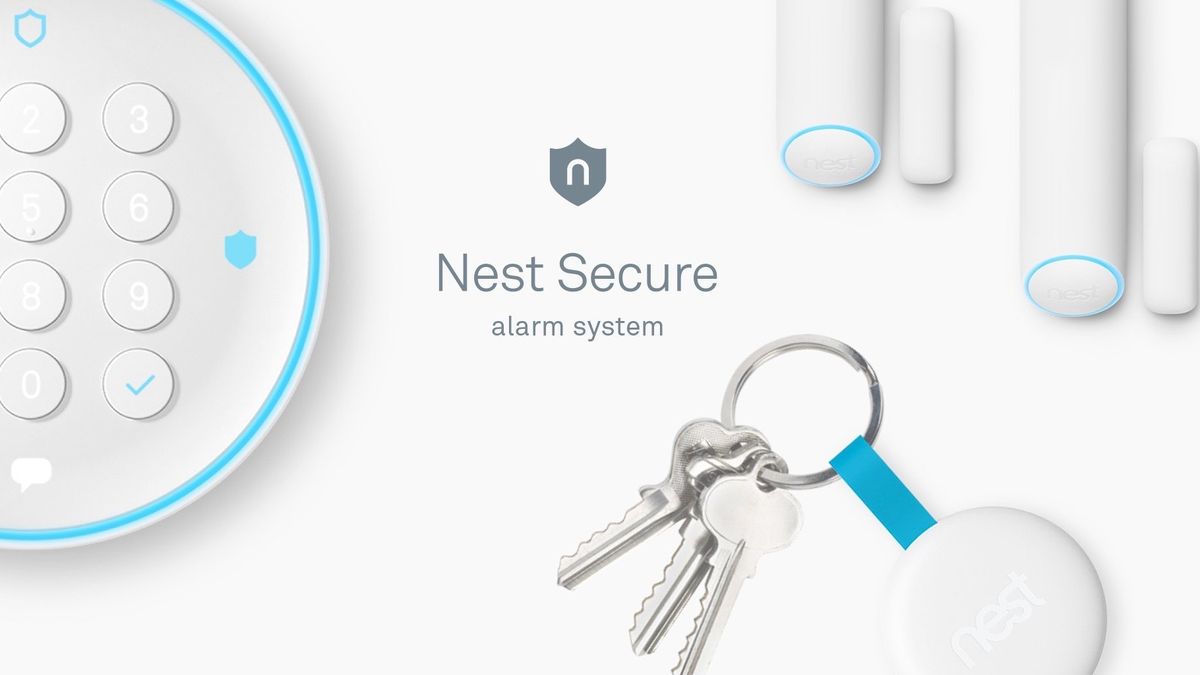 Nest home alarm store system