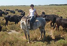 Camargue.JPG