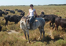 Camargue.JPG