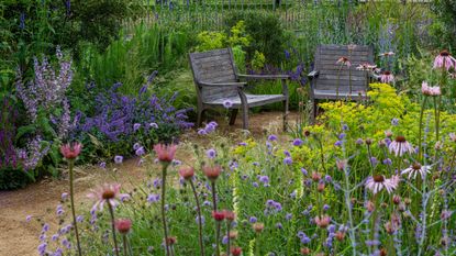 sensory garden plants