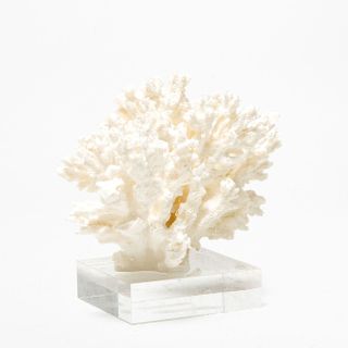 decorative faux coral ornament