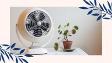 picture of vintage fan next to houseplant in border to highlight home cooling mistakes to avoid