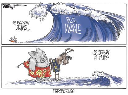 Political cartoon U.S. midterm elections blue wave Democrats Republicans perspectives