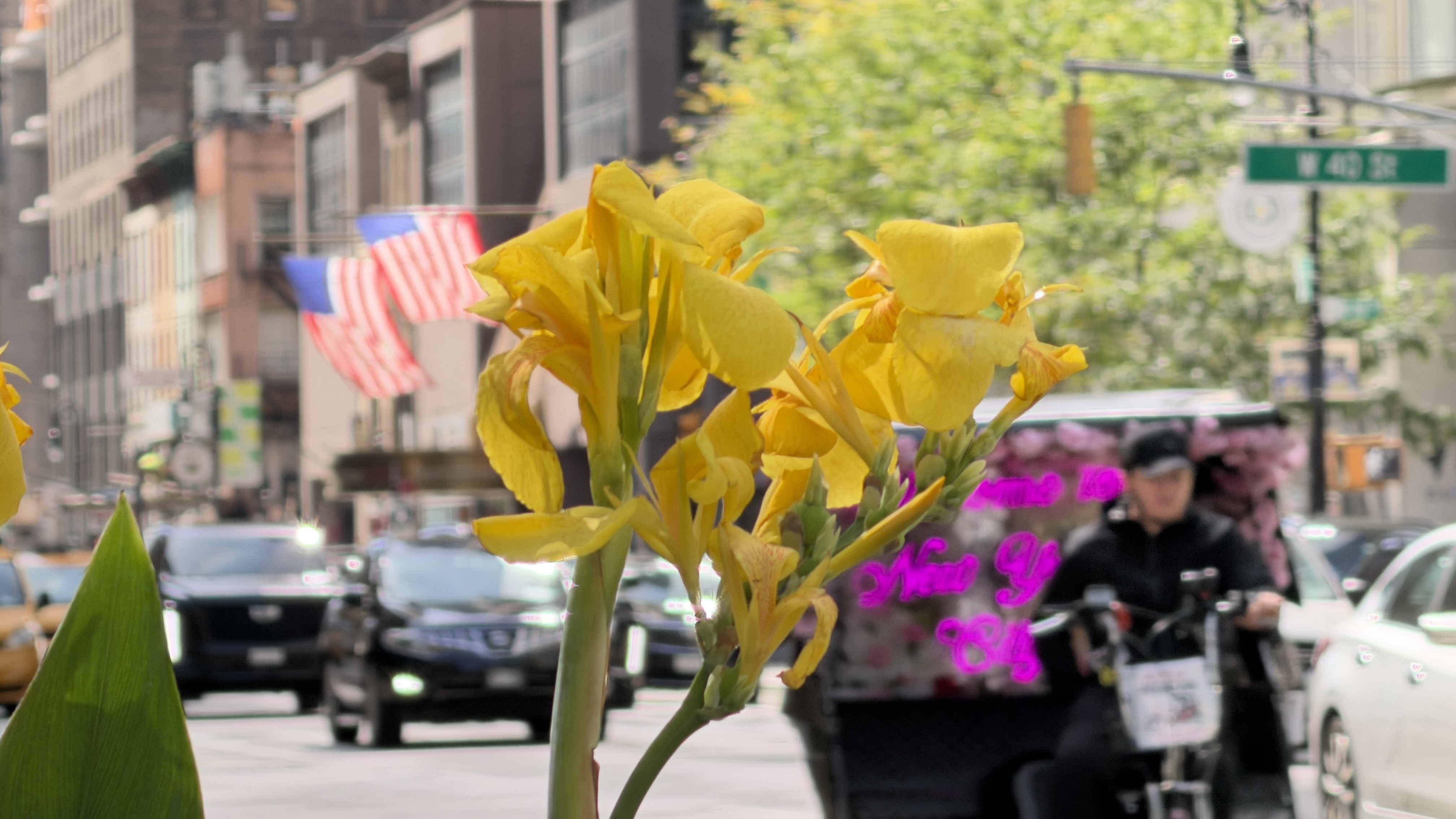 iPhone 17 Pro Max vs Sony Alpha a6000