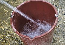 filling_water_bucket-hr.jpg