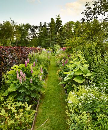 How to create a low-allergen garden –Hay fever garden ideas | Homes ...