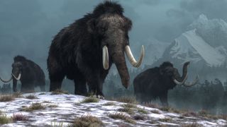 A trio of woolly mammoths trudges over snow covered hills. Behind them, mountains with snow covered peaks rise above dark green forests of fir trees.