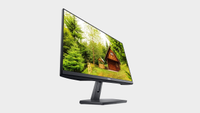 Dell SE2419 Monitor | $140 at Dell (save $60)