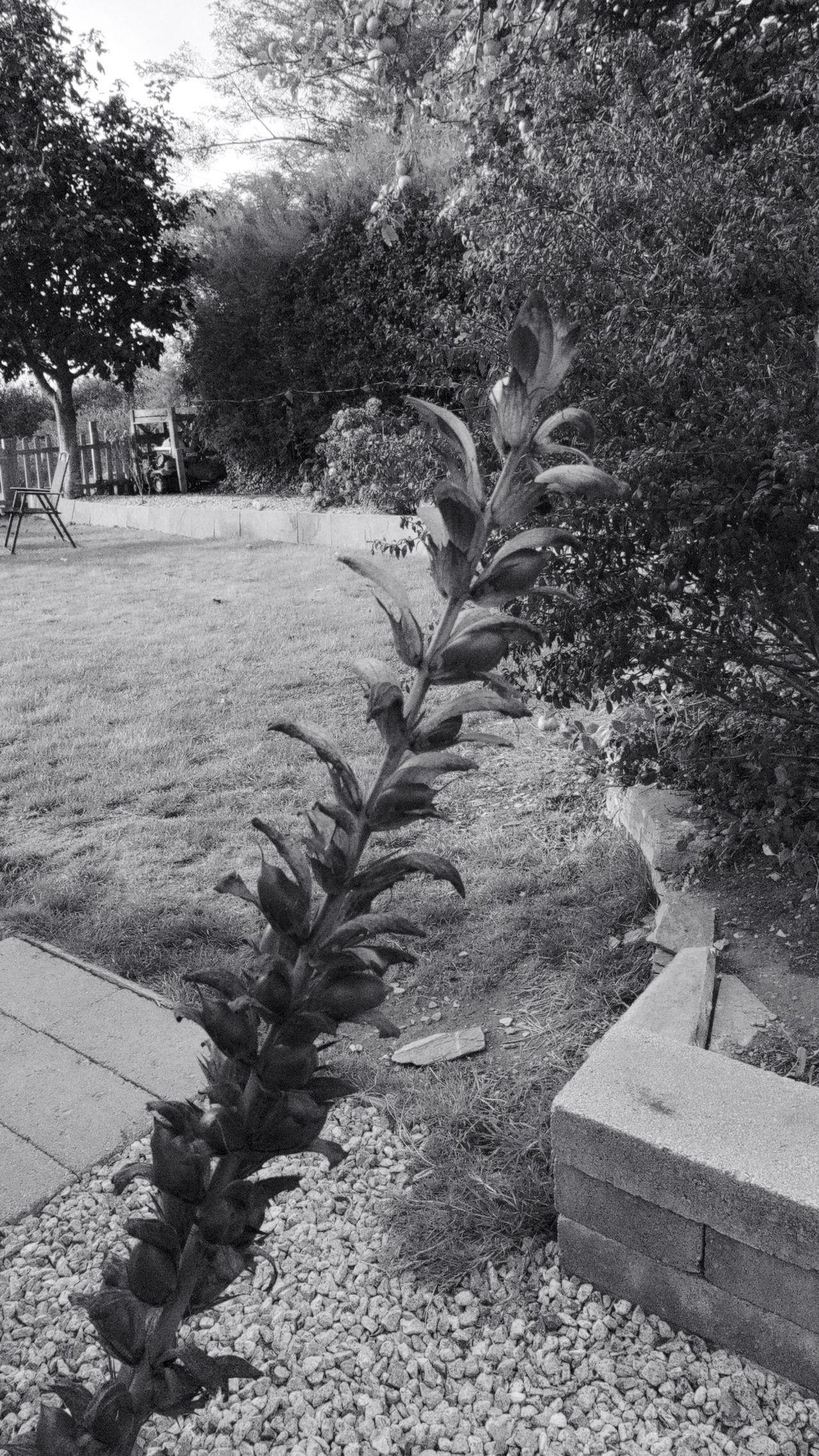 Sebastian Oakley testing out the Insta360
