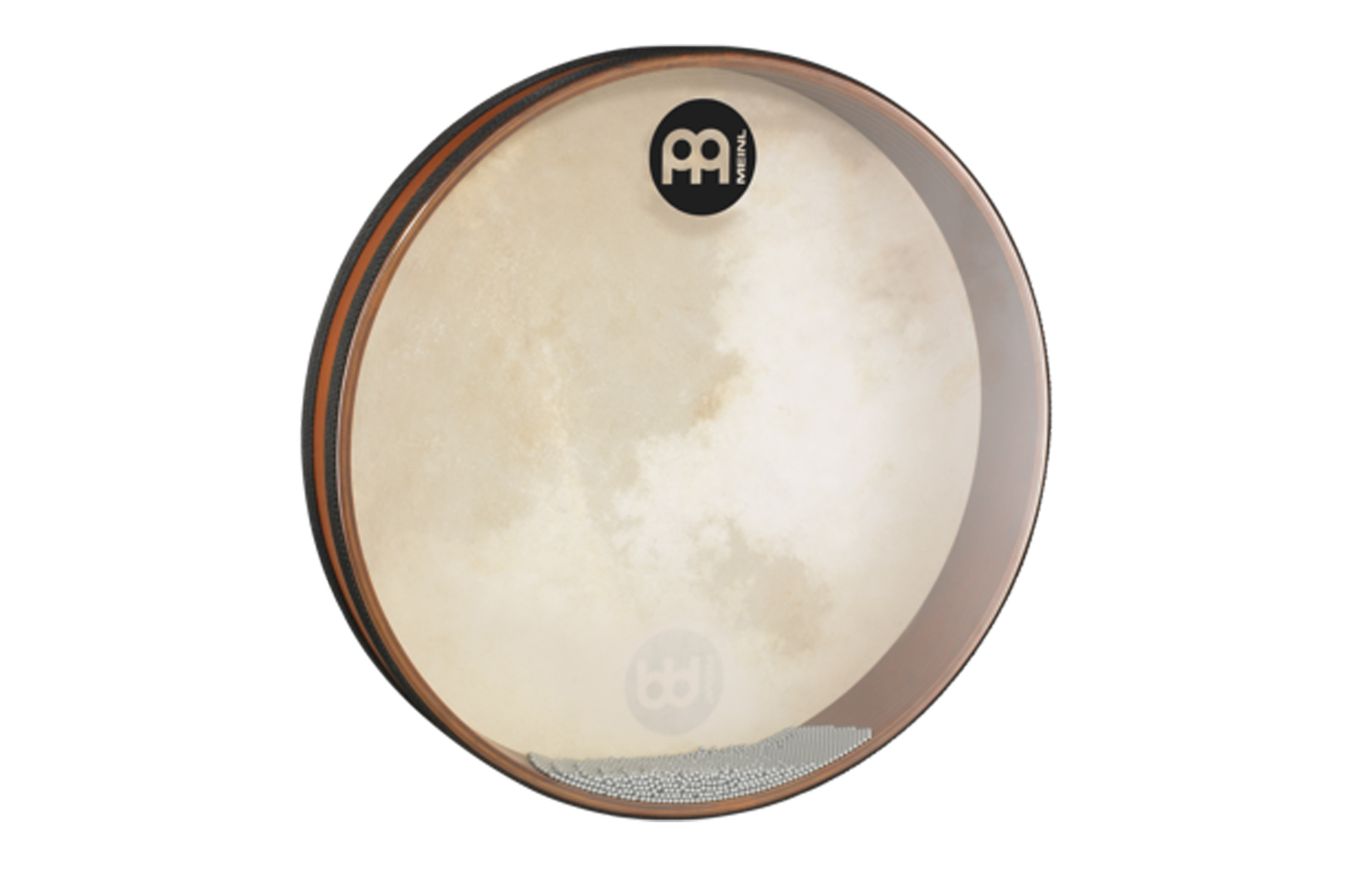 Sea Drum