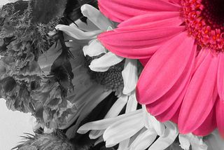 Selective Color is for more than just making colour pop out of a black-and-white image