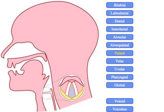 Examples of SVG: creepy mouth