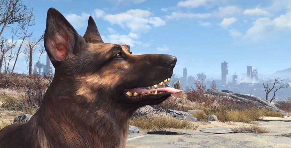 Fallout 4's Dogmeat cannot be killed | PC Gamer