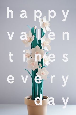 valentine's day designs