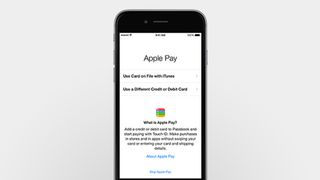 Apple's Pay is a game changer