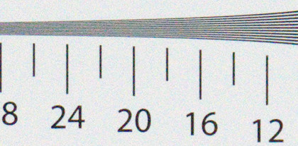 Cropped resolution raw image iso 6400